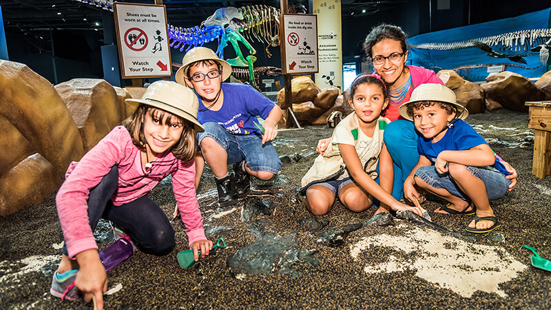 Dinos in Lights at Orlando Science Center