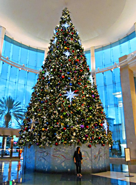 Santa Photos at The Mall at Millenia